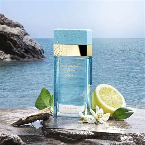 perfume similar ao dolce gabbana light blue|light blue forever discontinued.